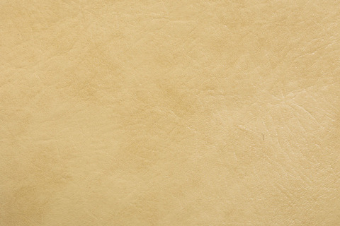 クリームイエロー